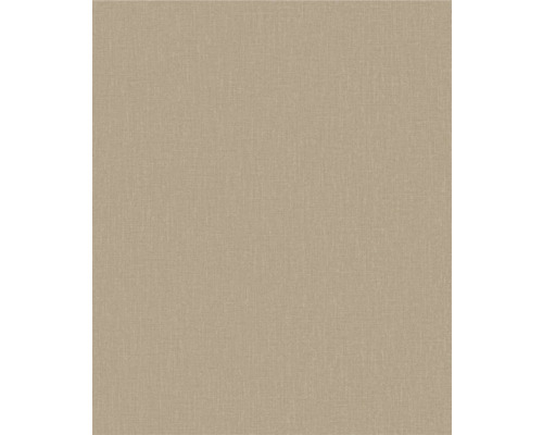 Vopsea de perete bej pentru interior