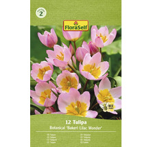 Ambalaj lalele Botanical Bakeri Lilac Wonder cu simbolul prietenos cu albinele.