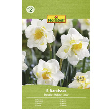 Pachet cu 5 narcise din specia Double White Lion