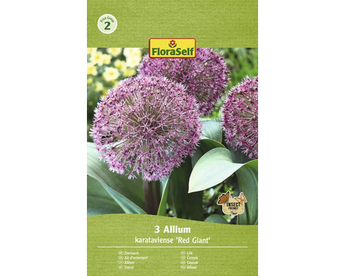 Bulbi de flori FloraSelf Allium roșu gigant 10/12 3 buc.