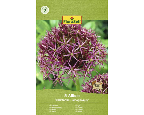 Bulbi de flori FloraSelf Allium Albopilosum 10/12 5 buc.