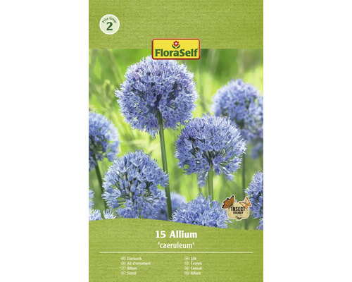 Bulbi de flori FloraSelf Allium Caeruleum 5/6 15 buc.