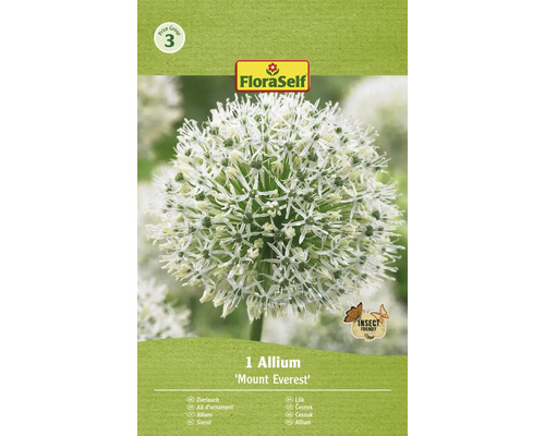 Bulb de flori FloraSelf Allium Mont Everest 18/20 1 buc.