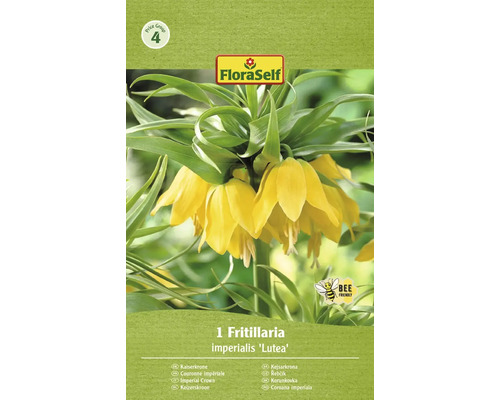 Bulb de flori FloraSelf Fritillaria Imperialis Lutea 20/22 1 buc.