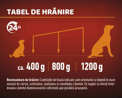 Tabel de hrănire pentru câini cu recomandări de greutate