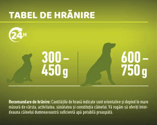 Tabel de hrănire câini
