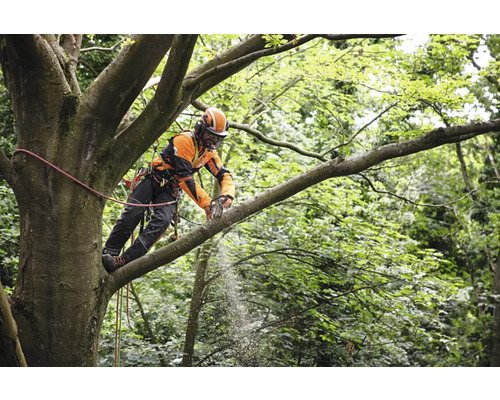 Arborist care lucrează cu un ferăstrău cu lanț într-un copac, echipat cu îmbrăcăminte de protecție.