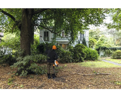 O persoană taie ramurile unui copac dintr-o grădină cu ajutorul unui fierăstrău de crengi.