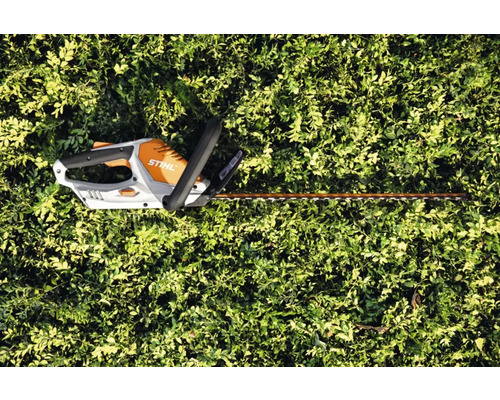 Foarfeca de gard viu cu acumulator STIHL pe plante verzi