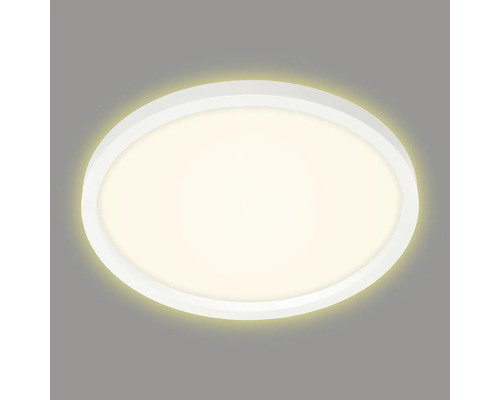 Lumină de plafon ovală