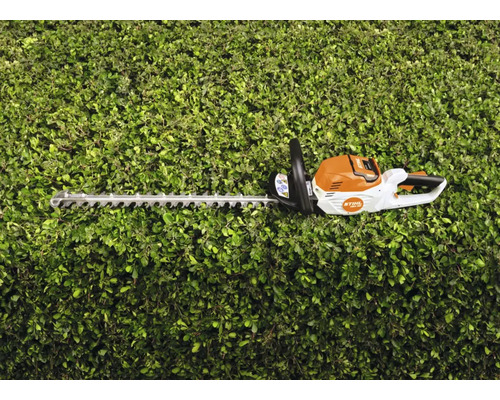 Foarfecă de gard viu pe un gard viu