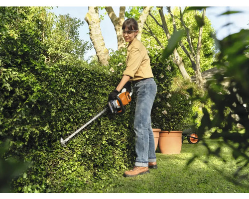 Femeie tăind gard viu cu foarfeca de gard viu în grădină