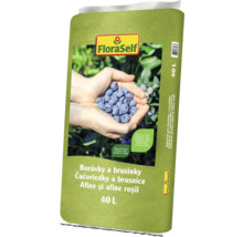 FloraSelf Substrat pentru afine și merișoare, 40 litri