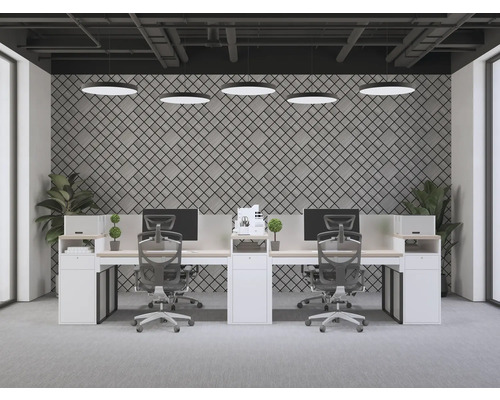 Birou luminos cu birouri, scaune de birou și plante