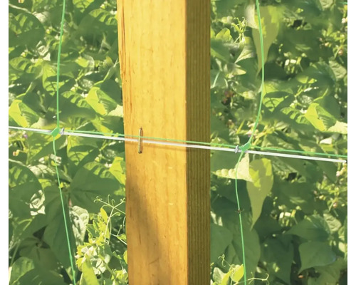 Stâlp de lemn cu sfoară de grădină pentru susținerea plantelor