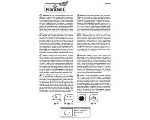 Informații despre rubarba Holsteiner Blut cu instrucțiuni de cultivare
