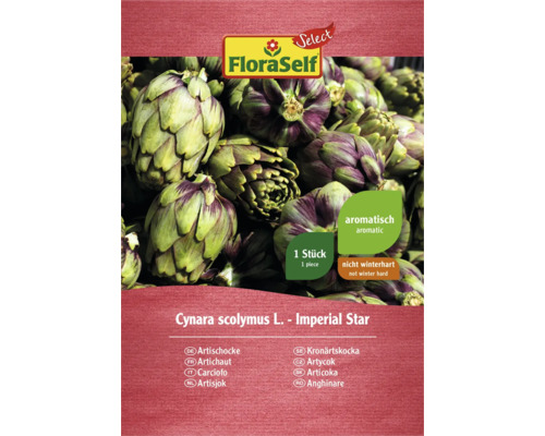 Semințe de anghinare de la FloraSelf