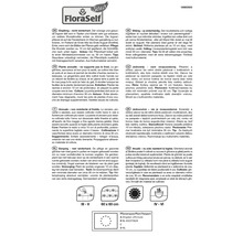 Informații despre planta de ghimbir cu instrucțiuni de plantare, dimensiunea ghiveciului și pașaportul plantei
