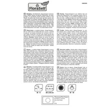 Informații despre soiul de căpșuni Senga Sengana, perenă, distanța de plantare și pașaportul plantei