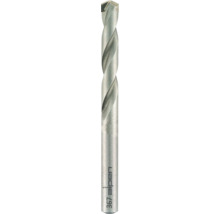 Burghiu zidărie Alpen Ø12x200 mm Long Life