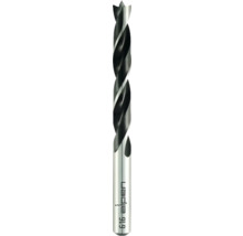 Burghiu lemn CV Alpen Ø14 mm