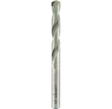 Burghiu zidărie Alpen Ø12x150 mm Long Life