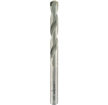 Burghiu zidărie Alpen Ø6x100 mm Long Life