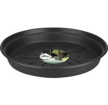 Suport negru din plastic pentru plante