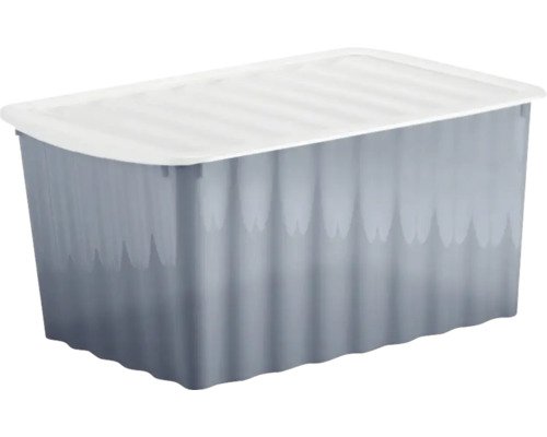 Cutie de depozitare din plastic cu capac