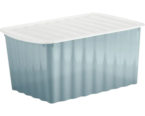 Cutie de depozitare din plastic cu capac