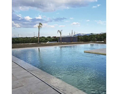 Piscină cu margine de faianță și palmieri în fundal.