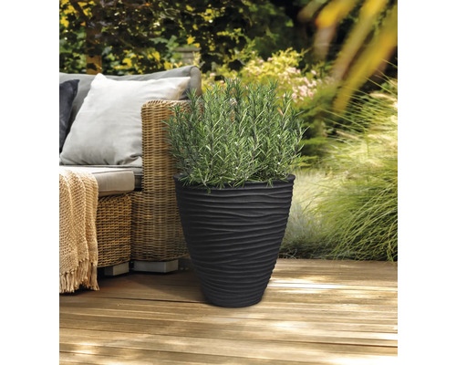 Jardinieră neagră cu design ondulat și plantă de rozmarin pe o terasă