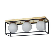 Plafonieră Fence E27 max. 3x15W, metal/negru
