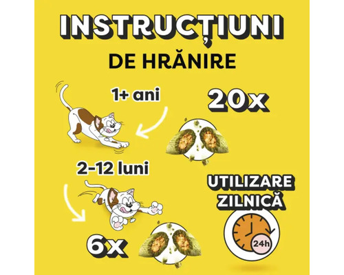 Instrucțiuni de hrănire pentru hrana pentru pisici