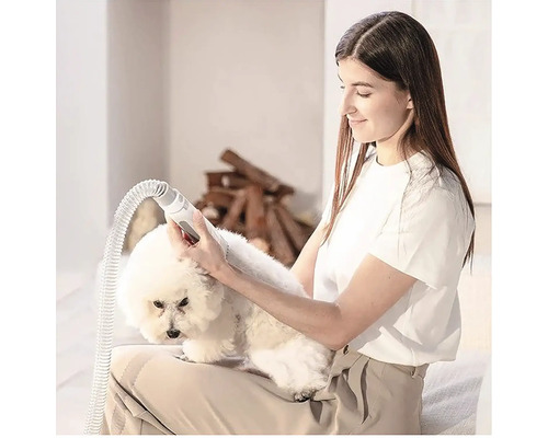 Femeie perie câinele cu o perie de păr de animale