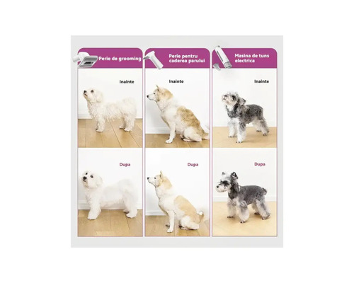 Comparație înainte și după a câinilor cu produse de îngrijire a blănii