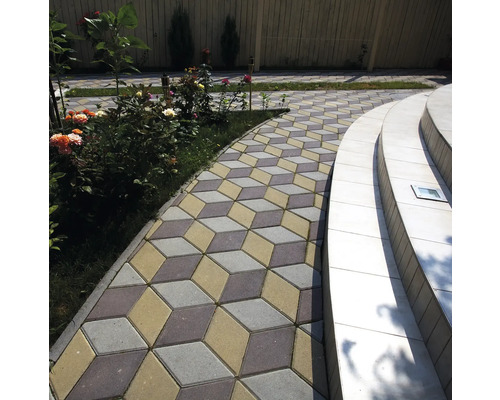 Alee de grădină cu pavaj cu aspect de cub și plantare adiacentă