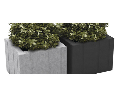 Două jardiniere din beton cu plante