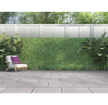Dală beton Elpreco Madera gri 40x60x5 cm