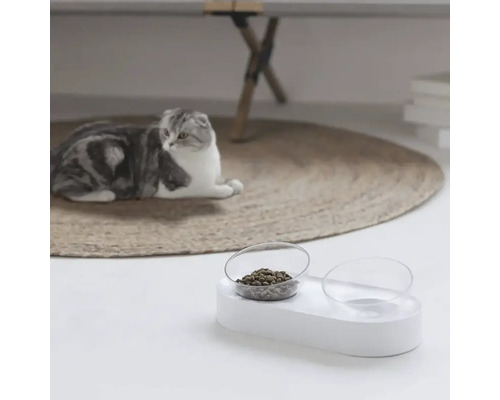 Pisică stând lângă stația de hrănire cu două castroane, unul dintre ele umplut cu mâncare