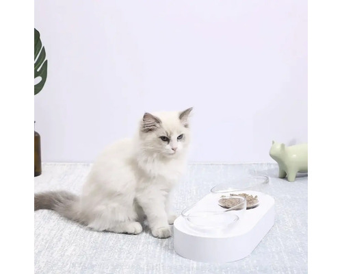 Pisică șezând lângă o stație de hrănire pentru animale de companie cu două boluri