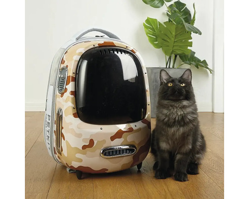 Pisică lângă un rucsac pentru animale cu model de camuflaj și fereastră transparentă