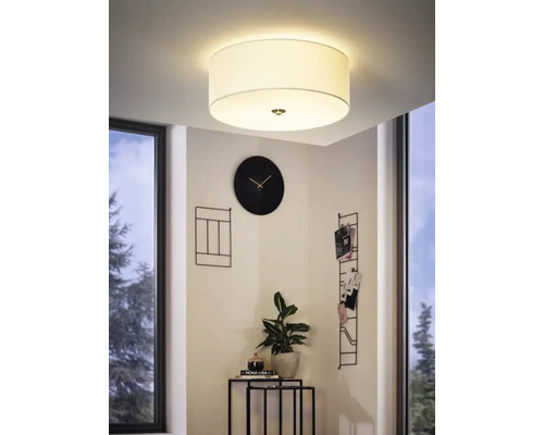 Cameră cu plafonieră, ceas, plantă și decorațiuni