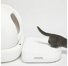 Pisică intrând în toaleta pisicii cu trepte