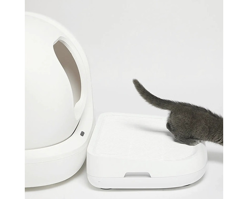 Pisică intrând în toaleta pisicii cu trepte