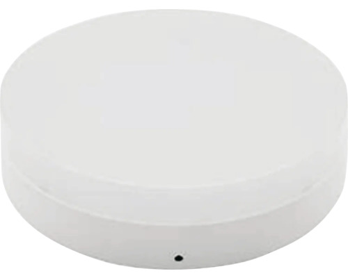 Panou cu LED integrat Malaga 48W 4500 lumeni Ø31cm, montaj aplicat, lumină rece, alb Lumină de plafon rotundă