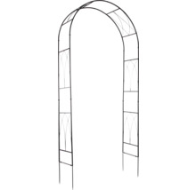 Arcadă de trandafiri metalică pentru grădină