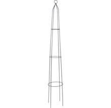 Obelisc pentru plante cățărătoare Levin, metal, 23x23x150 cm, negru
