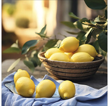 Tablou sticlă Lemons III 30x30 cm