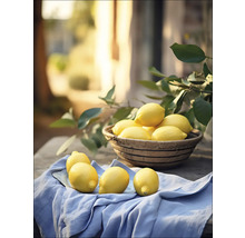 Tablou canvas Lemons III 57x77 cm